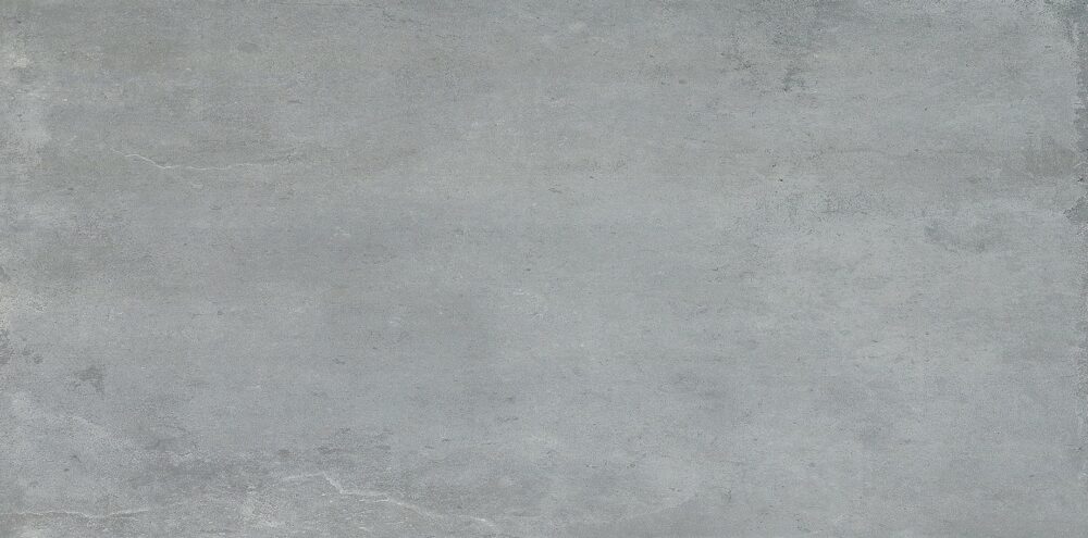 Fossil Dark Grey 450x900 | 459066