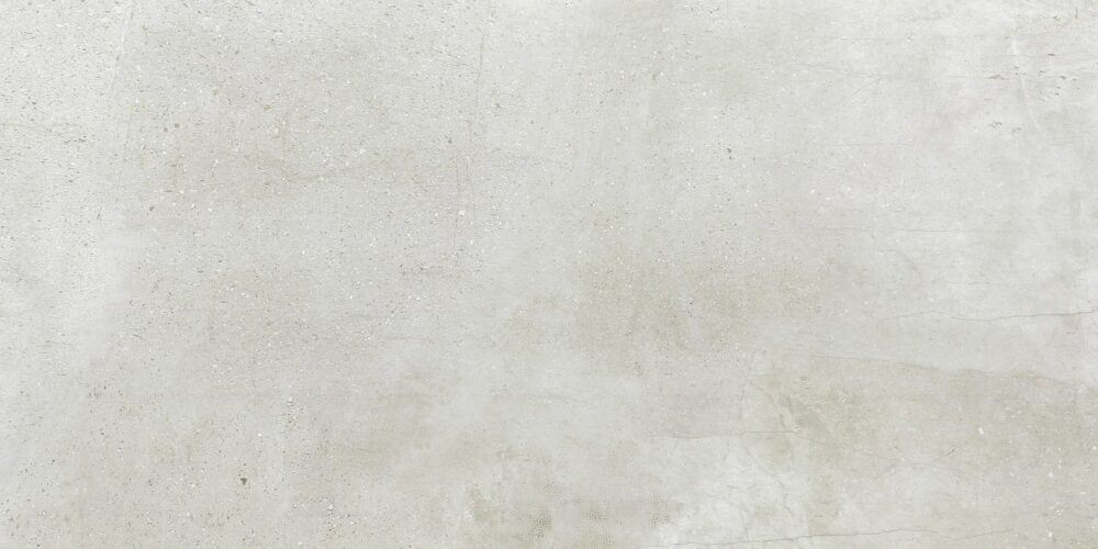 Maxstone Light Grey 450x900 | YI459S5214
