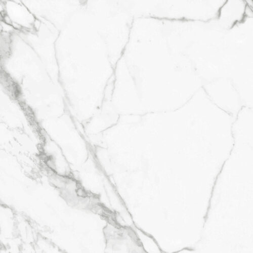 Lux Statuario Matt 600x600 | YQI60P530
