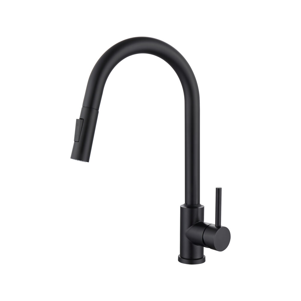 SANTINO Stainless Steel Kitchen Mixer with Pull Out Spray | Colour Options